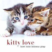 Kitty Love : How Cute Kittens Play