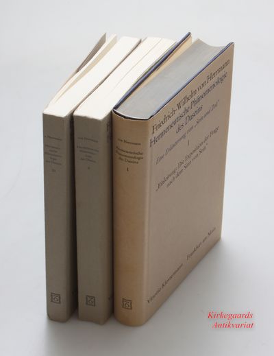 Hermeneutische Phänomenologie des Daseins:  Ein…