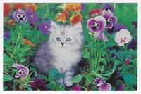 image of KITTEN SITTING AMONG PANSIES