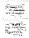 View Image 2 of 10 for Problems in Eugenics. Papers Communicated to the First International Eugenics Congress held at The U... Inventory #1691