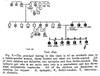 View Image 3 of 10 for Problems in Eugenics. Papers Communicated to the First International Eugenics Congress held at The U... Inventory #1691