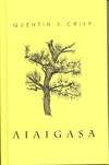 Aiaigasa