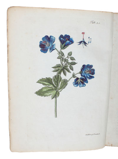 Den danske Flora, eller naturlige Afbildninger af…