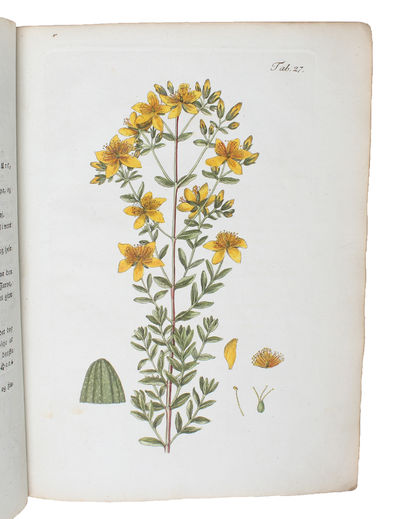 Den danske Flora, eller naturlige Afbildninger af danske Planter. Indeholdende en Samling af de almindelige Markblomster som voxe vildt i Egnen omkring Kjøbenhavn. 1.-4. Hæfte (All that was published /alt som udkom). - [WILD FLOWERS OF THE GREATEST SCARCITY] (photo 2)
