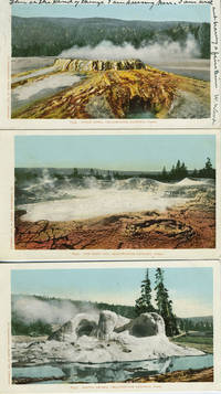 Seven Souvenir Postcards from Yellowstone National Park, Wyoming