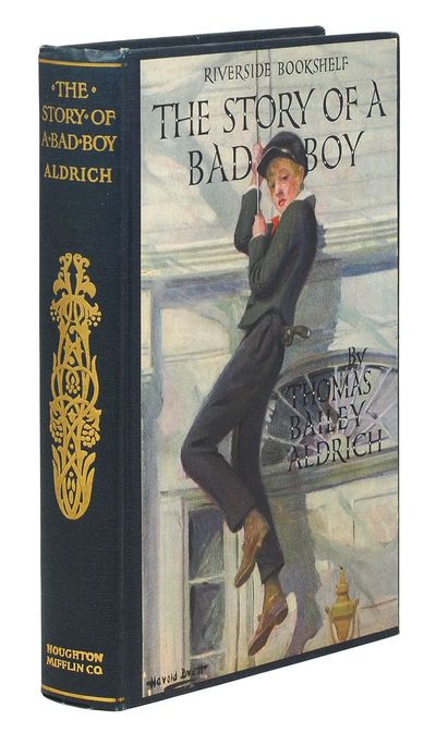 The Story of a Bad Boy