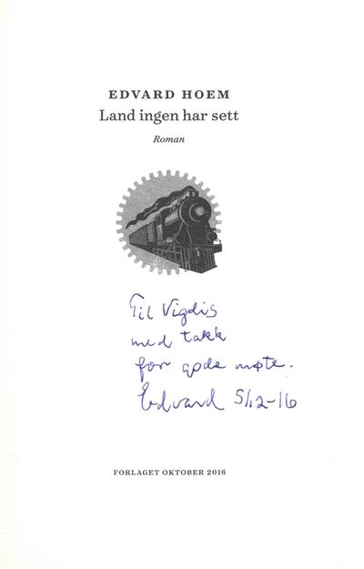 Land ingen har sett. Roman.