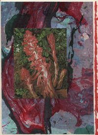 cover of Crimson Snow Plant detail on a one-of-a-kind hand marbled paper composition presented on a blank note card.