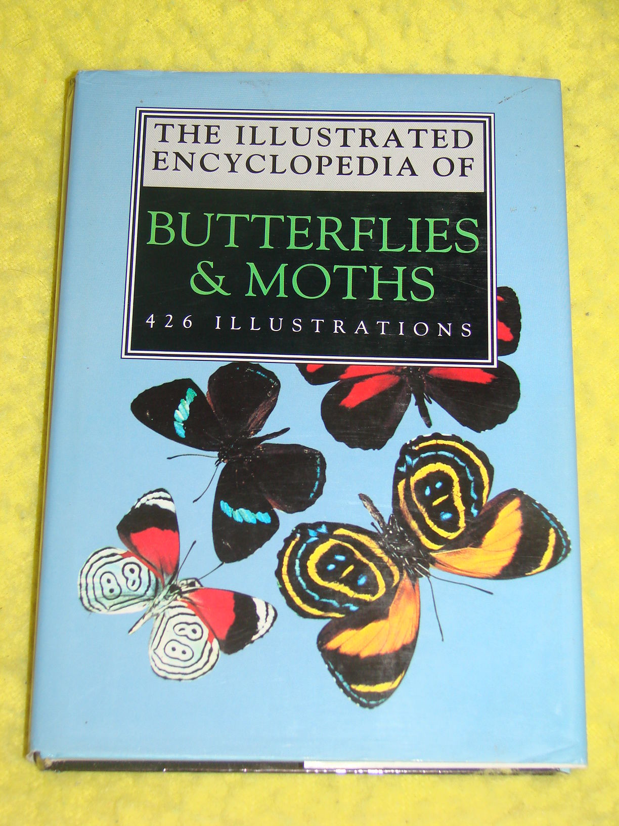 The Illustrated Encyclopedia of Butterflies & Moths by Dr V J