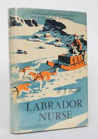 image of Labrador Nurse