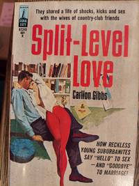 image of Split-Level Love (B724X)