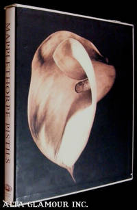 【 PISTILS】Robert Mapplethorpe　新品未読品・美本 Pistils: Mapplethorpe, Robert: 9780679408055: Amazon.com: Books