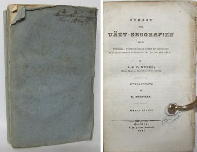 Utkast till växt-geografien jemte utförliga…