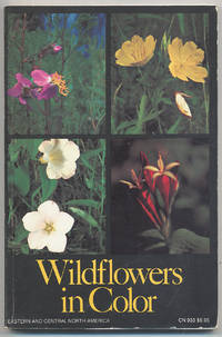 Wildflowers in Color