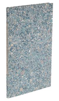 Two Letters: The First Containing Some Remarks on the Meeting Held..