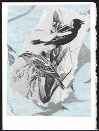 cover of Bobolink detail on a one-of-a-kind hand marbled paper composition presented on a blank note card.
