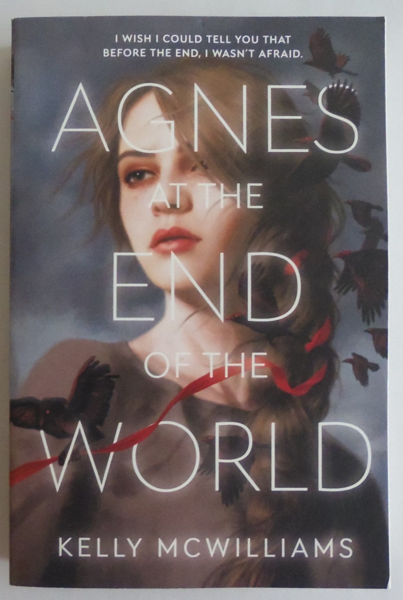 Agnes at the End of the World by Kelly McWilliams Paperback 202106