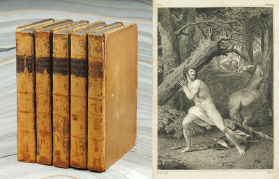Orlando Furioso, Translated and with Notes by John Hoole
