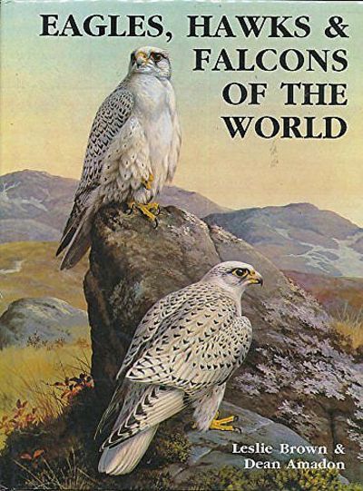 Eagles, Hawks and Falcons of the World by Brown, L.; Amadon