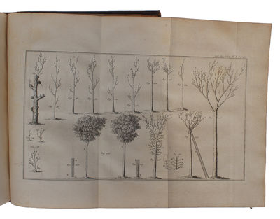 Des Semis et Plantations des Arbres et de leur Culture ou méthodes pour multiplier et elever les Arbres, les Planter en Massifs et en Avenues former les Forets & les Bois (photo 3)