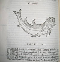 image of LIBRI DE PISCIBUS MARINIS, IN QUIBUS VERAE PISCIUM EFFIGIES EXPRESSAE SUNT QUAE IN TOTA PISCIUM HISTORIA CONTINEANTUR, INDICAT ELENCHUS PAGINA NONA ET DECIMA. POSTREMO ACCESSERUNT INDICES NECESSARIJ
