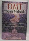 Dmt
