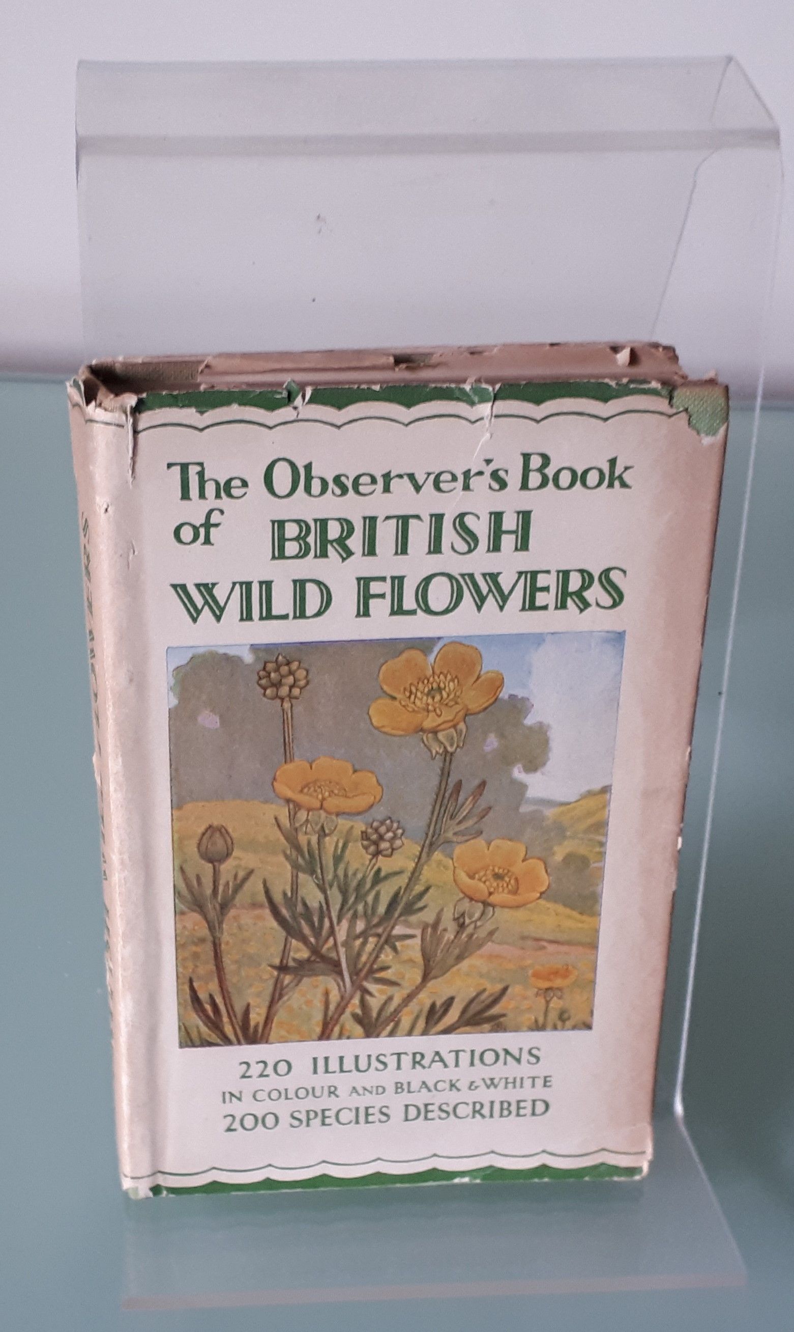 british wild flowers in relation to ‥ 51fs1qUxSYL._AC_SY200_QL15_.jpg