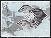 cover of Three Sparrow Heads detail on a one-of-a-kind hand marbled paper composition presented on a blank note card.
