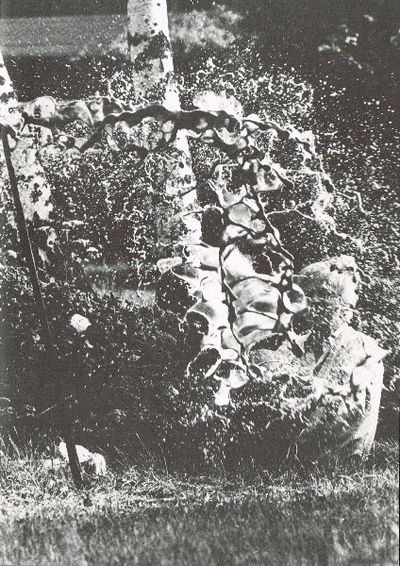 Karl Erik Häggblad. Prins Eugens Waldemarsudde…