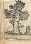 View Image 6 of 7 for John of the Mountains; The Unpublished Journals of John Muir Inventory #14353