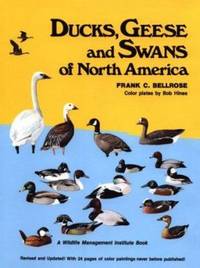 Ducks Geese & Swans of North America