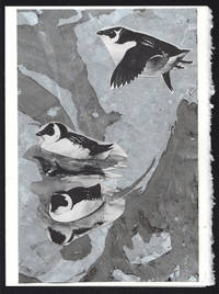 cover of Dovekie detail on a one-of-a-kind hand marbled paper composition presented on a blank note card.