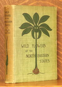 image of WILD FLOWERS OF THE NORTH-EASTERN STATES