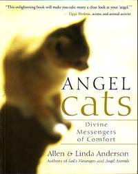 Angel Cats Divine Messengers of Comfort