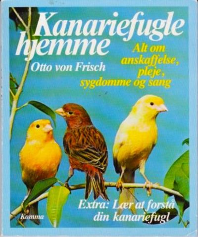 Kanariefugle hjemme
