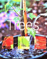 image of Choosing Small Trees