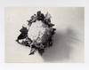 Exhibition postcard: Peter Royen Jun. in Konrad Fischers Raum (29 August-19 September 1980)