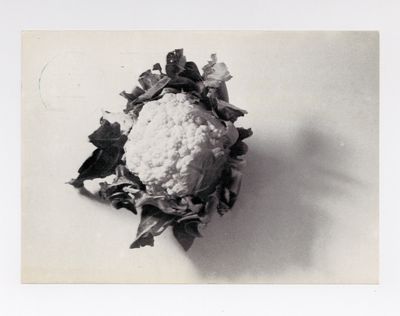 Exhibition postcard: Peter Royen Jun. in Konrad Fischers Raum (29 August-19 September 1980)