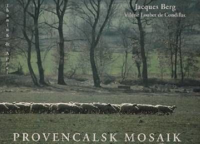 Provencalsk mosaik