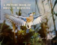 image of A Picture Book of Birds in Bermuda