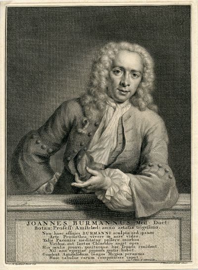 Engraved Portrait by J. Houbraken after J. M. Quinckhard