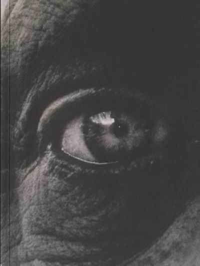 ÖGATS ÅTRÅ / THE DESIRING EYE.