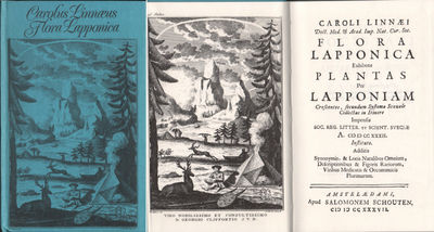 FLORA LAPPONICA exhibens Plantas per Lapponiam…