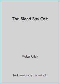 image of The Blood Bay Colt