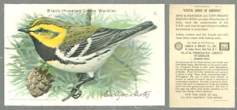 Advertisement - Victorian Trade Card for Church and Dwight Cow Brand Baking Soda, Useful Birds of America Series, the Black Throated Green Warbler