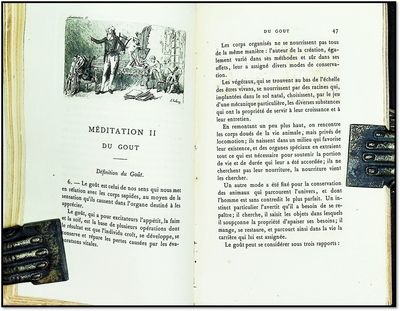Physiologie du Gout [Edition Jouaust]...; (photo 2)