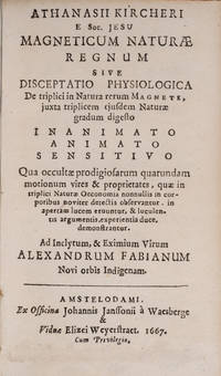 Magneticum Naturae Regnum