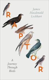 Raptor: A Journey Through Birds