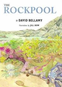 The Rockpool