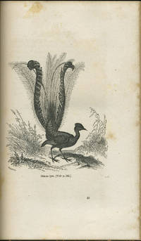 image of La Nouvelle-Nursie: Histoire d'une Colonie Bénédictine dans l'Australie Occidentale (1846-1878)